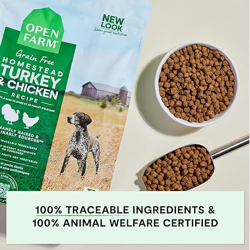 Grain Free Dry Dog Food (11 Pound (Pack of 1))