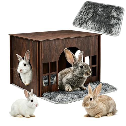 Large Rabbit Hideout (Walnut Style 1 / Large)