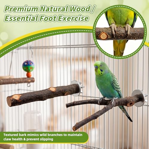 8 Pcs Natural Wood Bird Toys & Perches Set for Cages (brown / Bird Toys & Perches Set)