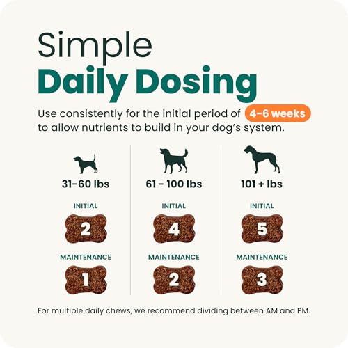 Ultimate Strength Healthy Hip & Joint for Dogs (120 Chews)