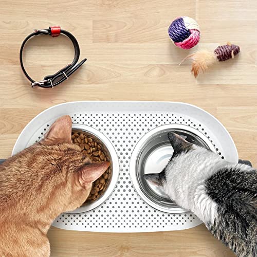 Height Adjustable Cat Elevated Bowls Stainless Steel Dog Food Water Bowls (Medium)