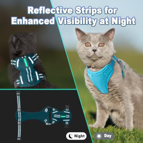 Cat Harness and Leash Set Escape Proof for Kitten Walking (Small / Blue)