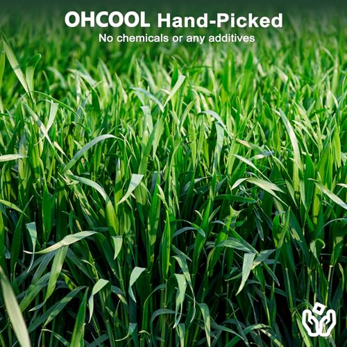 Premium Oat Hay (1.1 Pound (Pack of 1))