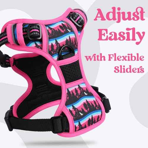 Dog Harness Small Sized (Mountain Rose / Small)