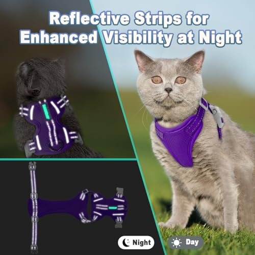 Cat Harness and Leash Set Escape Proof for Kitten Walking (Medium / Purple)