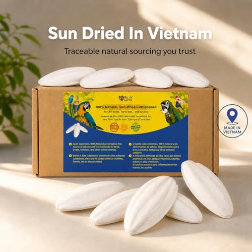 7.5 8" Cuttlebone for Birds (6 Count (Pack of 1))