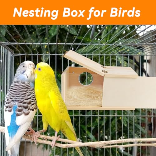 Wooden Bird Nesting Box with Transparent Visual Window (【Large:9.8x5.1x5.1 Inches】)
