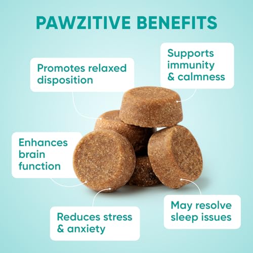 Hemp Calming Chews for Dogs (Green)