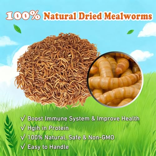 Dried Mealworms 2 LB (2 Pound (Pack of 1))