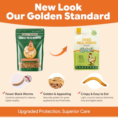 5lbs Dried Mealworms for Chickens Duck High Protein Birds Treat (80 Fl Oz (Pack of 1))