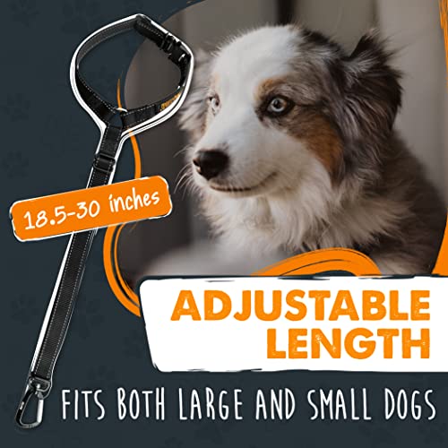 Dog Seat Belt for Car Headrest (Headrest Attachment)
