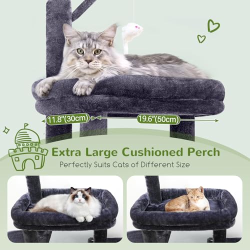 Maine Coon Cat Tower for Indoor Adult Cats (Dark Grey / 50 inch)