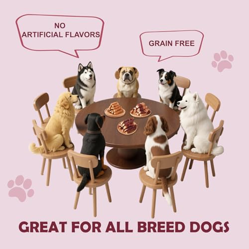 Healthy Dog Treats