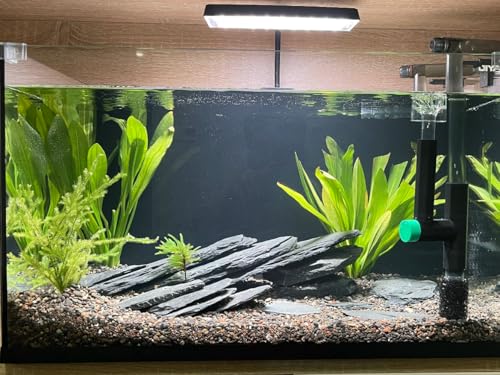 Aquarium Rock Natural Slate Rocks 2 to 6 inch Aquariums Stone for Aquascaping (10lb(2-7''))