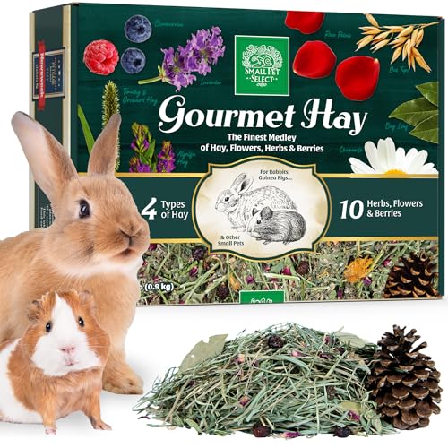 Gourmet Hay Treat