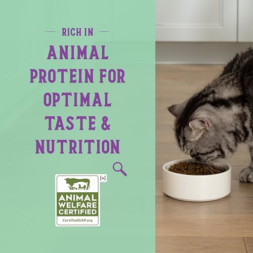 Goodbowl Protein Rich Dry Cat Food Made from Meticulously Sourced Simple Ingredients (3 Pound (Pack of 1))