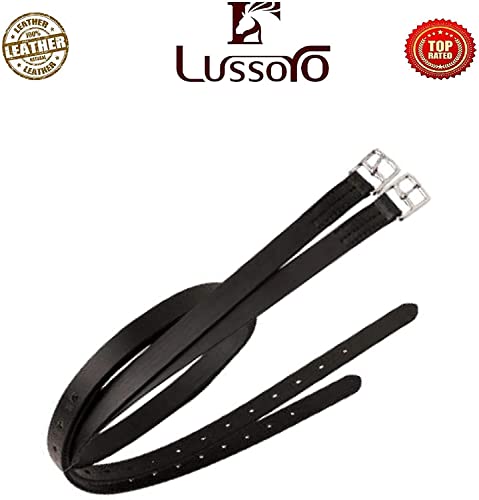 Leather English Riding Horse Saddle Starter Kit for Horse 6 Pcs Riding Gift Set (Size 19)