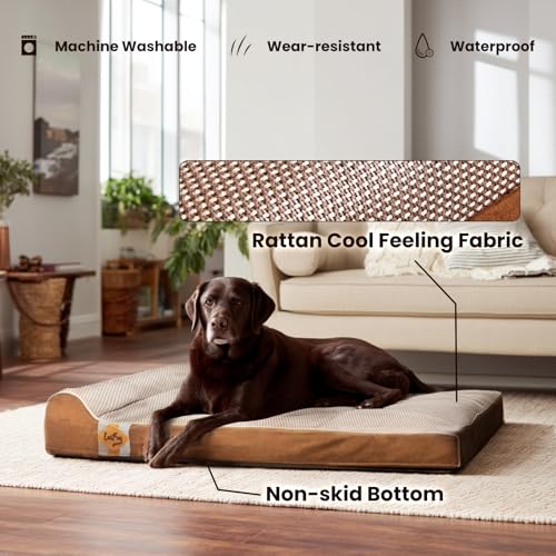Orthopedic Dog Bed (40.0"L x 25.0"W x 5.5"Th / Brown)