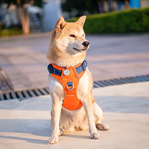 No Pull Dog Harness (Orange Base & Blue Straps / Small)