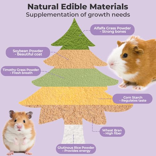 Hamster Chew Toys for Teeth