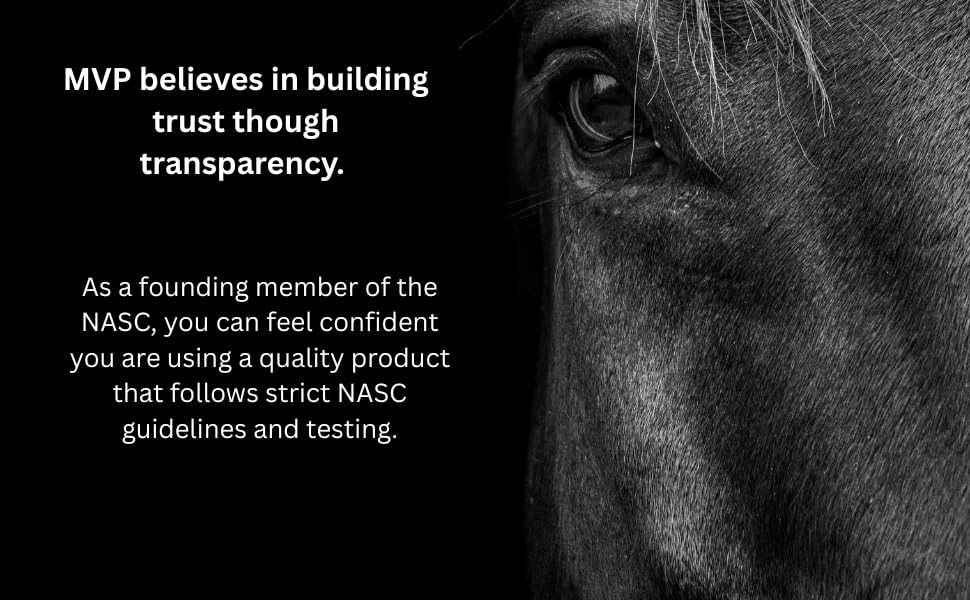 Exceed 6-Way (16lb) High Level Performance Horse Support Pellets for Horses, Joint, Hoof, Hair, Gastric, Digestion and Muscle Support