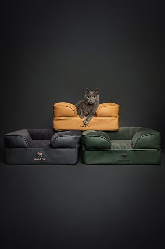 Cat Bed XS Dog Bed (Green - LE / Small)