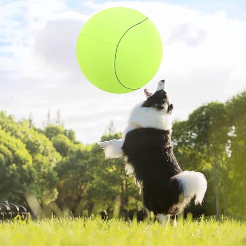 20" Herding Ball for Dogs & Horses with Green Nylon Cover (20 inches)
