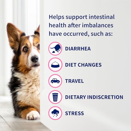 Proviable Probiotics + Prebiotics (80 Count)
