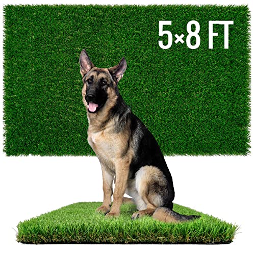 Dog Pee Grass (5x8 FT)