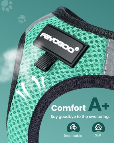 Cat Harness & Leash Set (Green / XXL(Chest 16-18"))