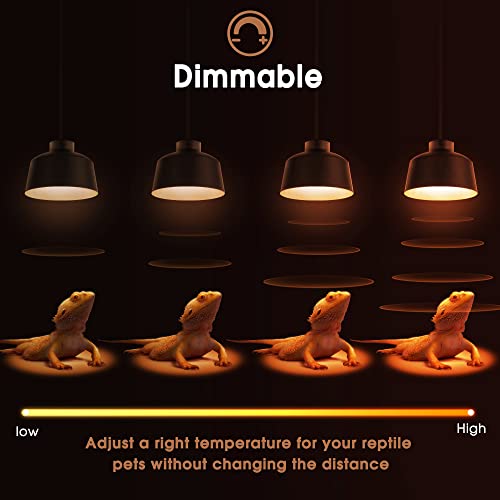 G9 Heat Lamp Bulbs for Reptile Mini Reptile Light Warm 50W 2 Pack (Warm Bulb / 2 Pack)