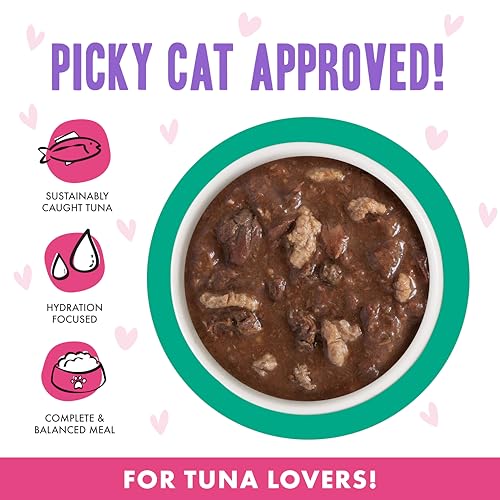 B.F.F. OMG Best Feline Friend Oh My Gravy! (2.8 Ounce (Pack of 12))