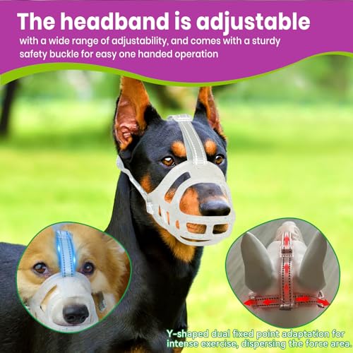 Glow-in-The-Dark Dog Muzzle, Basket Muzzle for Small Medium Large Dogs,Anti-Biting Chewing, Lightweight Cage Design,Allows Drinking & Panting,for Grooming & Training (Transparent Size L) (Size L Sout(9.45"-11.42"))