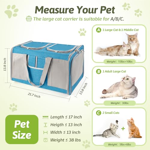 Large Cat Carrier for 2 Cats (Blue(Large))