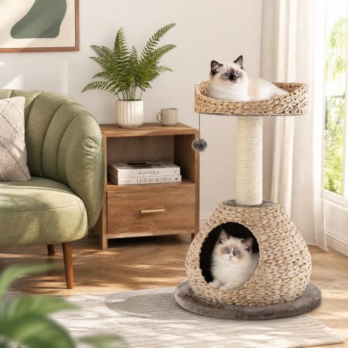 Modern Cat Tree Tower (28 inches / Coffee)
