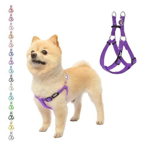 No Pull Dog Harness Small Sized Step (Purple / X-Small)