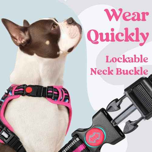 Dog Harness Small Sized (Mountain Rose / Small)