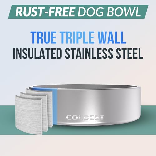 Coldest Dog Bowl (42 oz / Polished Stainless Steel)