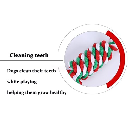 Dog Chew Toys