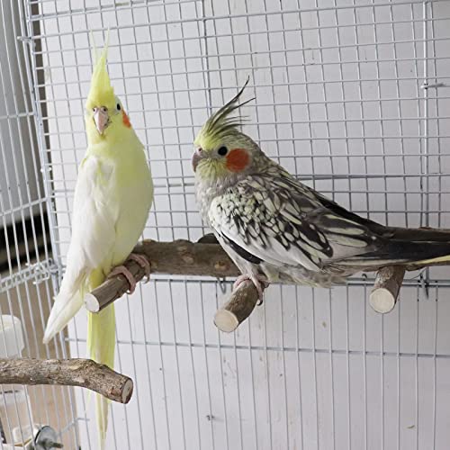15.7 Inch Large Bird Perch Stand