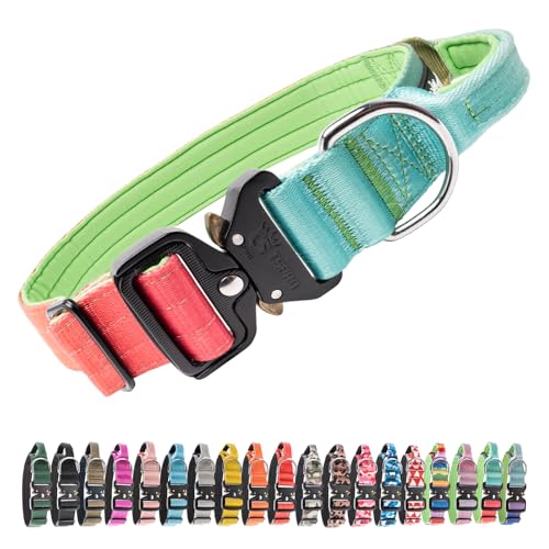 Tactical Dog Collar (Cyan & Orange Gradient - Handle Style / L: Neck 17.5" to 24.5")