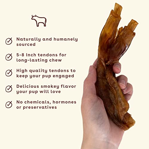 Beef Tendons for Dogs & Puppies (2.3 Ounce (Pack of 3) / Turbo)