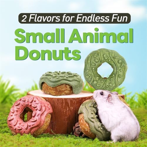 Donut Guinea Pig Toys (2PCS-Donut)