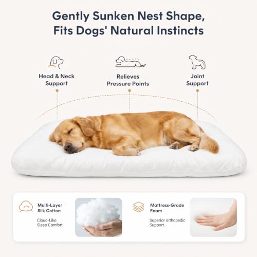 Orthopedic Medium Dog Bed 32 Inch (32.0"L x 24.0"W x 3.0"Th / Dark Brown)