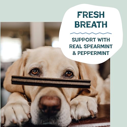 Triple Mint Dental Chews for Dogs (7.2 Ounce (Pack of 1))