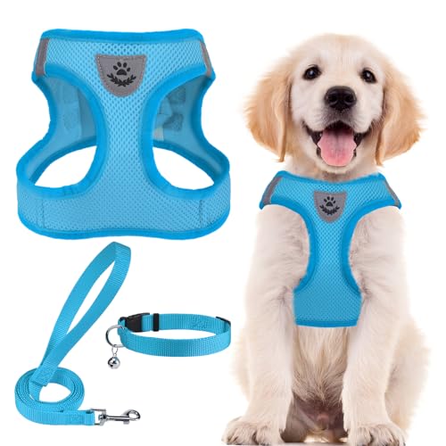 Dog Harness Collar and Leash Set No Pull for Small Medium Sized (Solid LightBlue / S (CHEST 14.5"-16"))