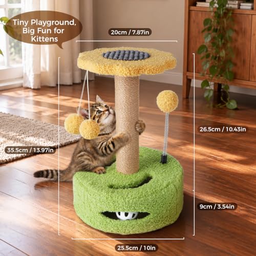 Small Cat Scratching Post with Perch Kitten Toys for Indoor Kittens 4 in 1