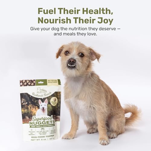 Superfood Nuggets (8 Ounce (Pack of 4))