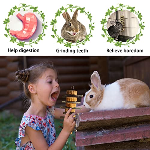 Natural Small Animal Chew Toys for Teeth (【Style B】)