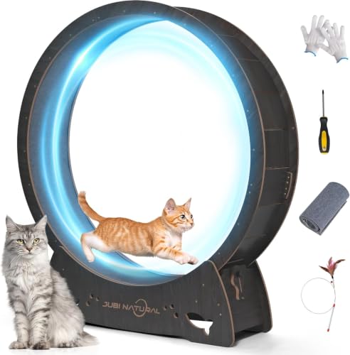 50" XL Cat Exercise Wheel (BLACK / 50")